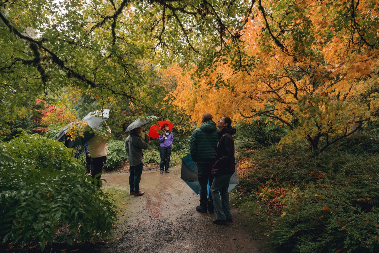 쿠보타 가든 가을 단풍 투어 (Kubota Garden Fall Color Tour) 대표 사진